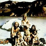 weird sounds in the bathhouse Vol. 5 (2006)