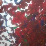 The Weird Room: Beautiful Noise
