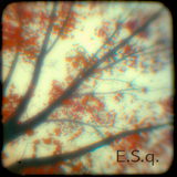 E.S.q. 006 ' 13