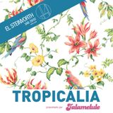 Tropicália - El Steinvorth - 28 Febrero 2015 - Segunda parte