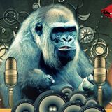 Monkey Dub Recording Promo Mix March 2010