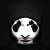 TOO SAVAGE -Mix by (SAVAGE PANDA)