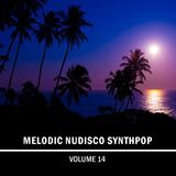 Melodic Nudisco Synthpop Mix 014