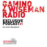 Gamino 4 Wiseman Radio - exclusive podcast #1
