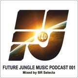 FJ music podcast 001 by BR selecta