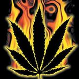 Blazing Da HerB