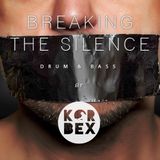 Breaking The Silence