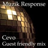 MR Guest Friendly Mix by Cevo