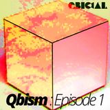 Qbism : Episode 01 || January 2015