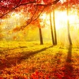 Pure & Passion Autumn Edition Mini-Mix