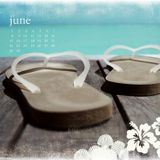 DJ T-BoY - June Mix 2013