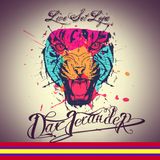 Dax Lexander session "Live Loja " 2014