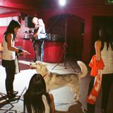 Shonen Knife Interview
