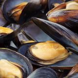 Sticky Mussels . . . 01.10.2013