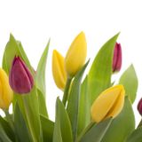 Spring in my mind (March 2013)