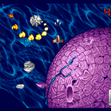 Tribute To Stardust Amiga Mix