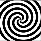 reportage-interview-france-culture-spiral_tribe_2
