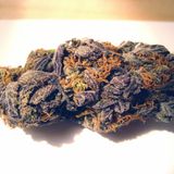MONSTER P #BAKED 4 when i'm in love or nah..