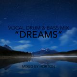 "Dreams" ~ Vocal Drum & Bass Mix