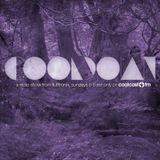 The Cooldown w/Flufftronix (12/16/12)