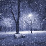Schneegestöber (Vol.5)
