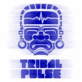 Tribal Pulse Podcast 007: DJ 3000