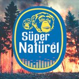 S:uper Nat:urel 73