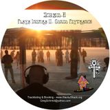 Playa Inspira II: Gonzo Psytrance - 2011