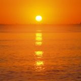 The Sounds of Summer