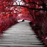 Playlist Semanal #78