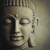 Slohand - Siddhartha