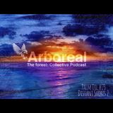 Arboreal Presents: Palm Oil #23 - Distant Shores 2