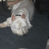 Bds The Drunkenmaster with John ( Razorblade ) Rushford RGW 28/09/12
