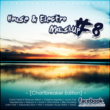 Yankee's House & Electro MashUp #8 (Chartbreaker Edition) (2013)