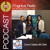 LOS 5 PRINCIPIOS DE REIKI