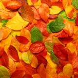 Mark Klatskla Autumn Mix 2