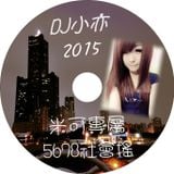 DJ 小亦 2015 (米可專屬 5678 社會搖)