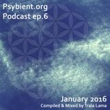 psybient.org podcast - episode 06 - January 2016 mixed by Trala Lama