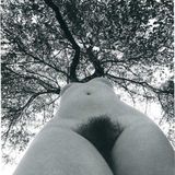 MXXMXMXXMY