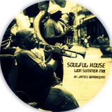 SOULFUL HOUSE | Lion Summer Mix | by James Barbadoro