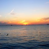 Ian Blofeld-Return to Sunset Key