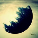 Ninze "Mind Journey" (live set)