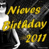 J.L.G. - Nieve's Birthday 2011 / SLS003 (Deep House, Techouse, Minimal, Techno, Electronic)