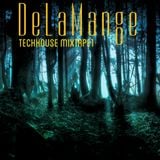 Delamange Techhouse MixTape1