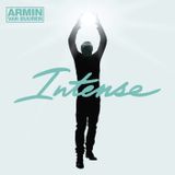 Armin van Buuren - Love Never Came (Intense 2013)