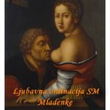COMBO - Ljubavna ordinacija SM Mladenke - Problem dogovorenog braka Dusana Smodlake