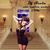 DjSevin - One Nation Under EDM ..pt.1