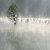 fOg MiX