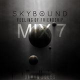 FOF Mixtape 7 /05-02-2013/ SKYBOUND HOUSE MIX