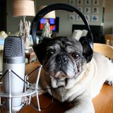 Shmodcast #4 (Now with 30% more awesomeness)